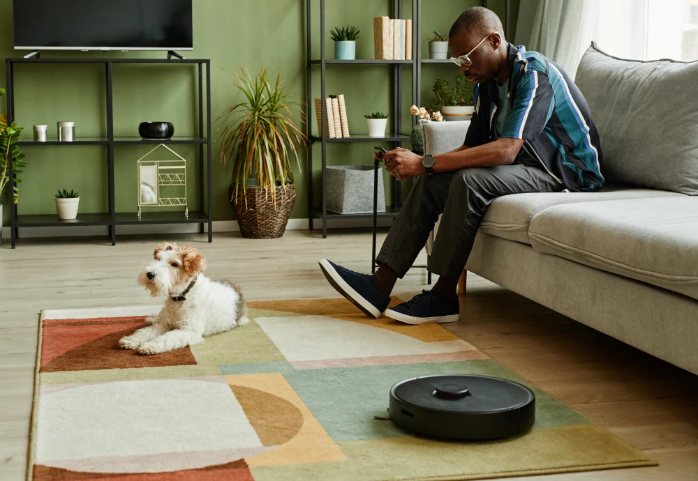 the best robot vacuum cleaner