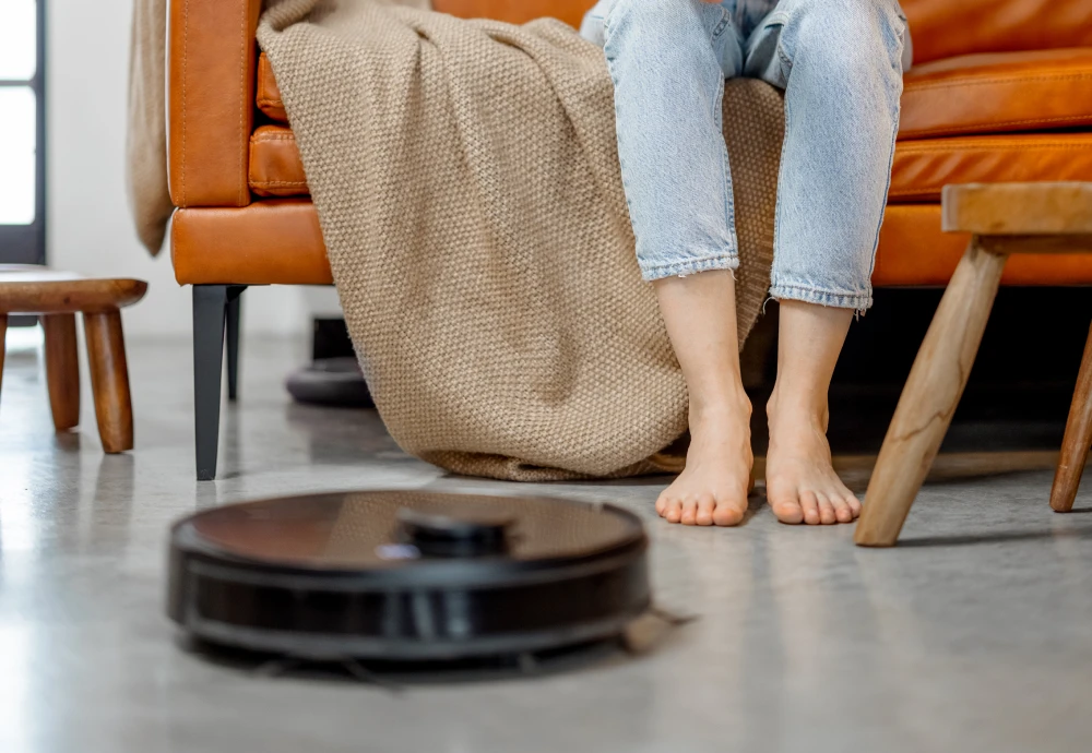 best robotic vacuum cleaner for the money